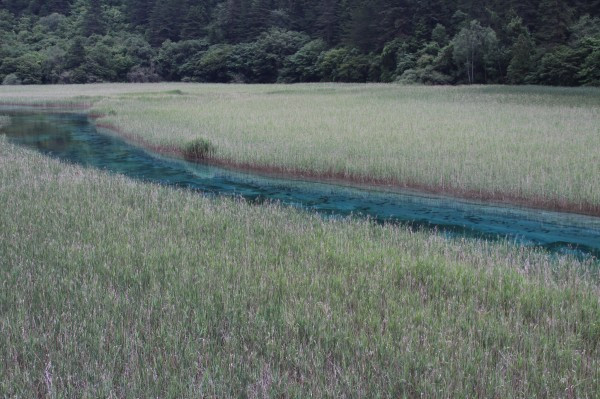 若尔盖红原九寨沟六日游,九寨沟黄龙若尔盖大草原自助游