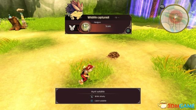 亮晶晶闪闪王国攻略,闪闪王国攻略详细教学