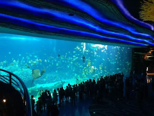 珠海长隆海洋王国攻略2天亲子游,珠海长隆海洋王国旅游亲子攻略