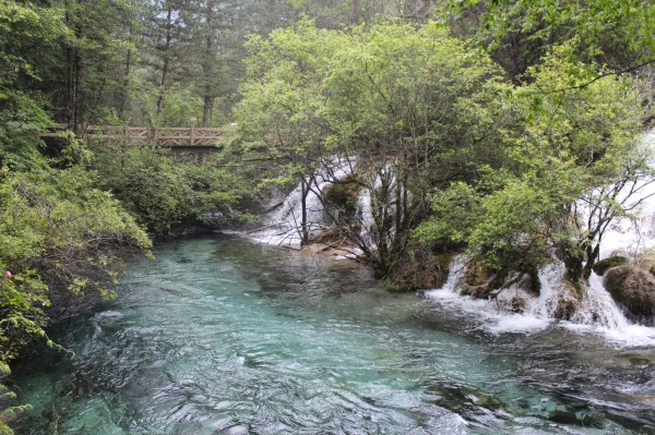 若尔盖红原九寨沟六日游,九寨沟黄龙若尔盖大草原自助游