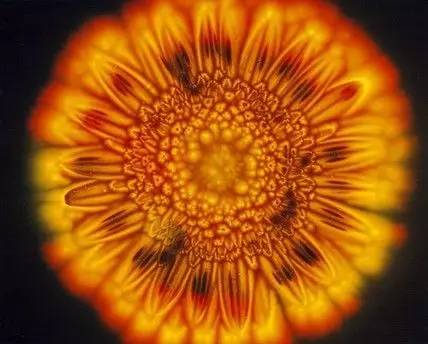 神秘光波的另类治疗法｜克里安摄影术