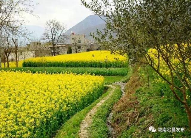 愿和你相遇,宕昌春晚春暖花开