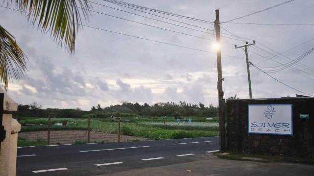 蔚蓝色的毛球-毛里求斯行记