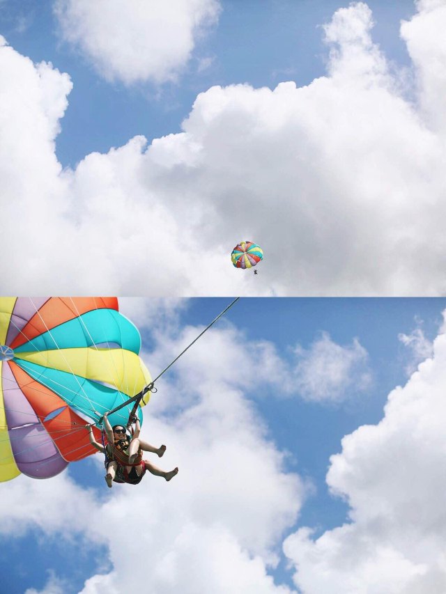 蔚蓝色的毛球-毛里求斯行记