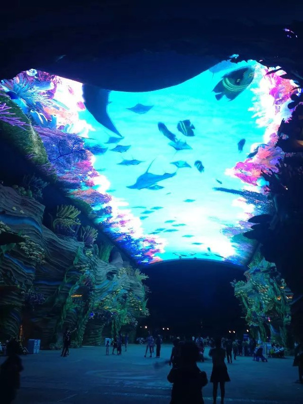 珠海长隆海洋王国攻略2天亲子游,珠海长隆海洋王国旅游亲子攻略