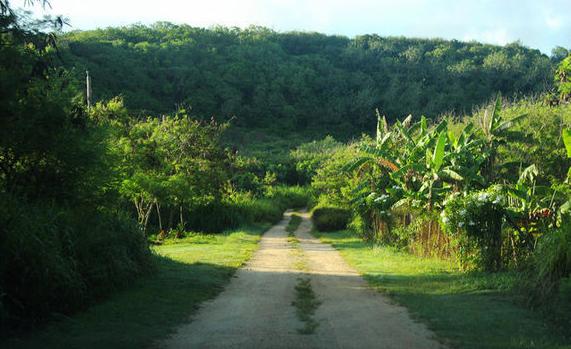 免签的塞班岛上天下海,塞班岛这个免签海岛美到尖叫