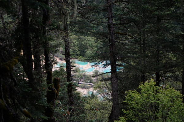 九寨黄龙成都自由行6日,成都九寨沟黄龙五天四晚自由行