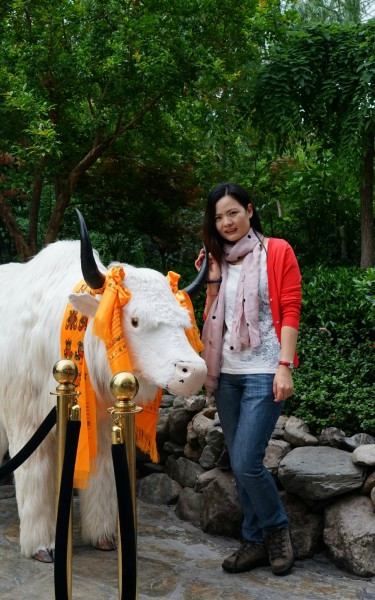 九寨黄龙成都自由行6日,成都九寨沟黄龙五天四晚自由行