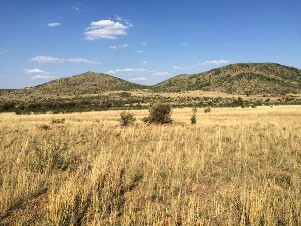 彩虹国家南非,彩虹国度南非之旅