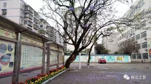 现代学校建设,现代化学校创建汇报