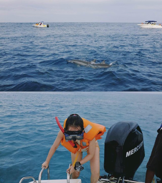 蔚蓝色的毛球-毛里求斯行记