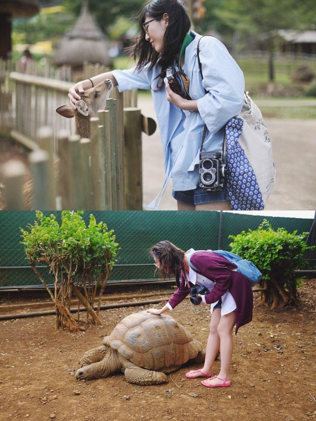 蔚蓝色的毛球-毛里求斯行记