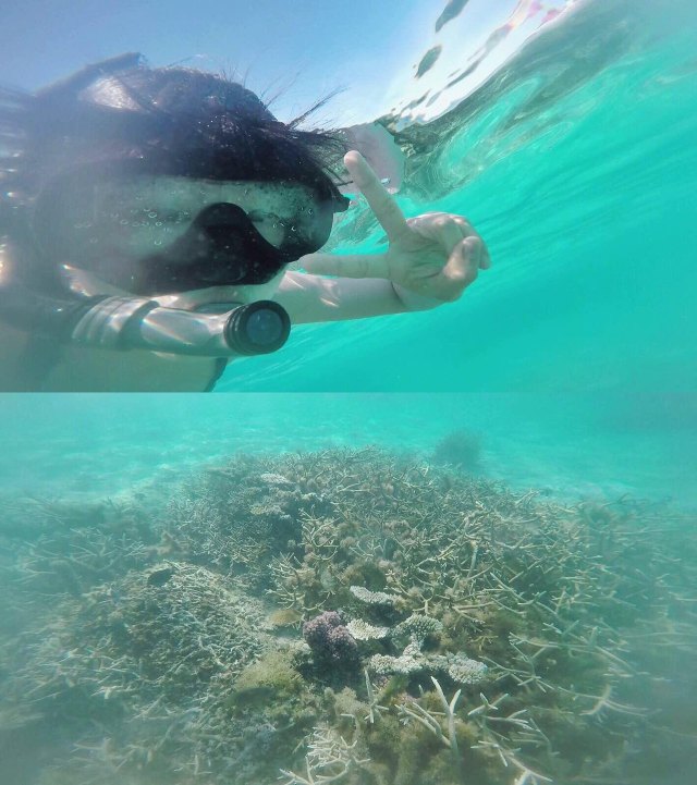 蔚蓝色的毛球-毛里求斯行记