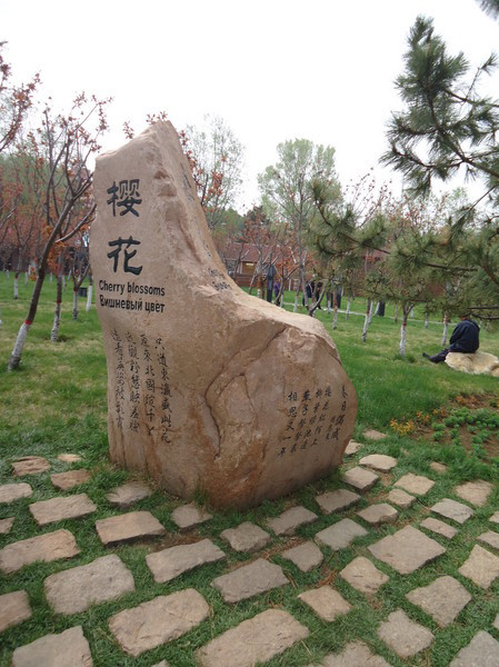 五一北戴河让看海吗,北戴河五一看日出