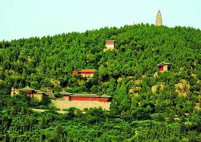 生活在平阴的感觉,平阴发展得怎么样