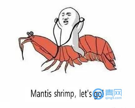 “注胶皮皮虾”视频刷屏青岛人笑了:不吃别浪费