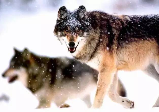 游戏编辑需要什么,如何成为一个游戏编辑