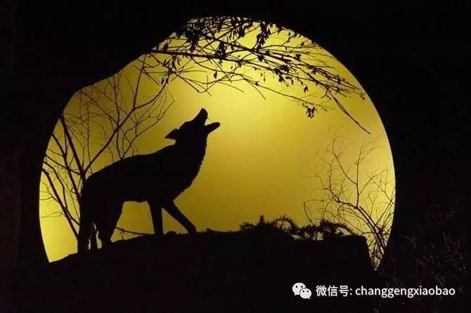 周航阔别五年,周航创业失败的原因