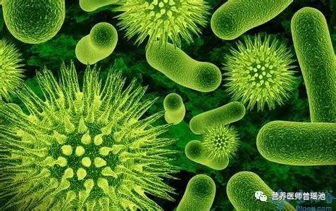 腹泻病人吃高膳食纤维食物,膳食纤维治疗便秘的原理