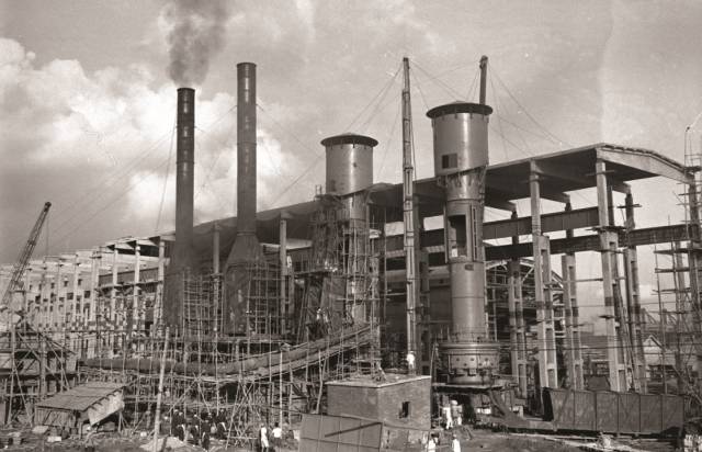 红坊视频,红坊还在吗