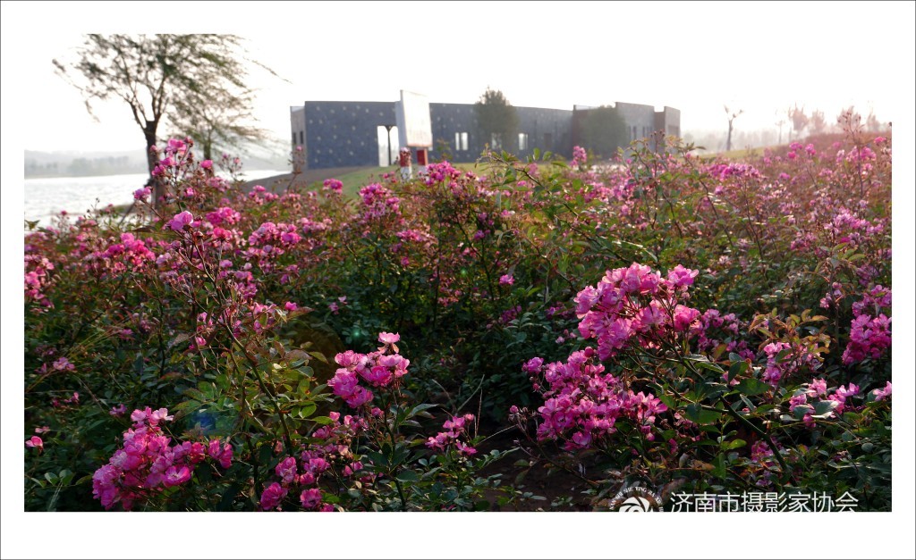 生活在平阴的感觉,平阴发展得怎么样