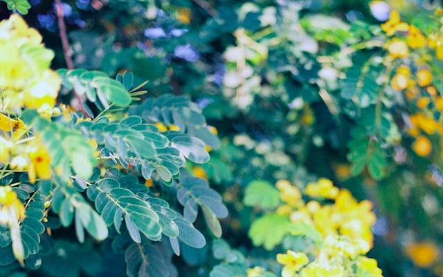 有多少人心情不好,为什么有些人心情不好却很重要