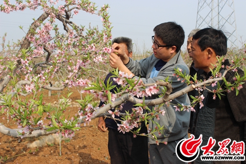 做小事,大学生做村官的梦想