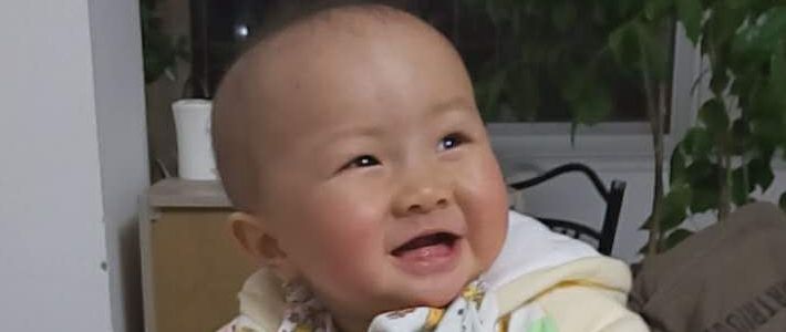 我的2015年,我的2015完整视频