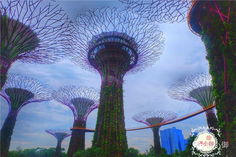 春节旅游去新加坡,新加坡旅游团春节