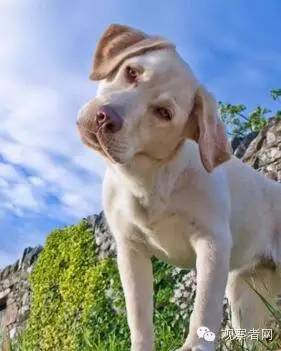 别人说和你学什么专业幽默回答,跟别人解释你学什么专业