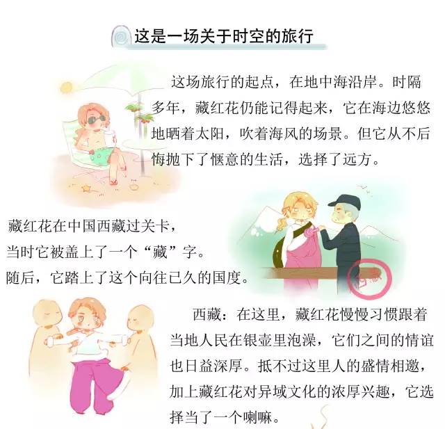 国医·本草藏红花的闲散游记