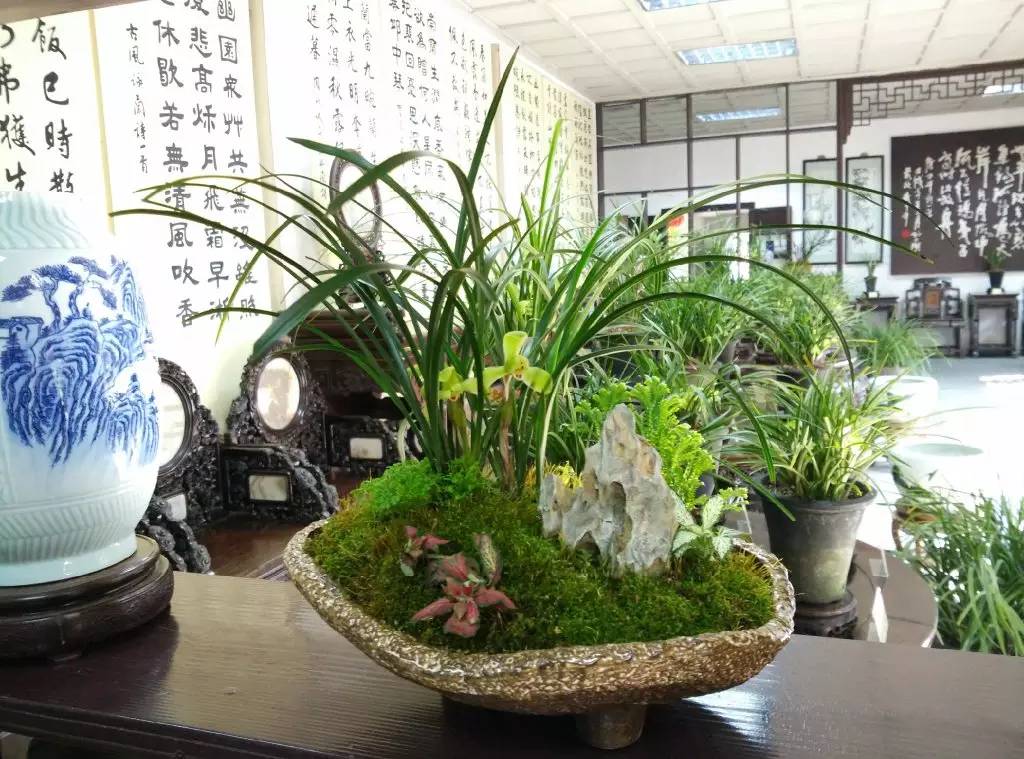 无锡春节文化,来看看我们无锡多美