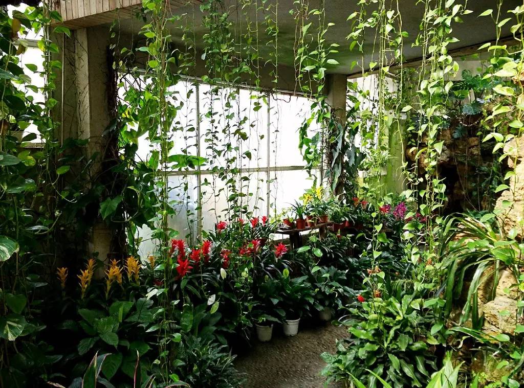 无锡春节文化,来看看我们无锡多美