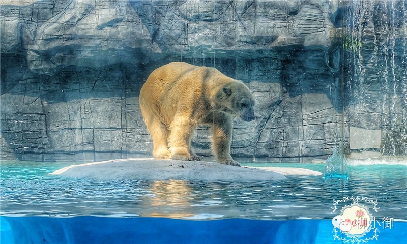 春节旅游去新加坡,新加坡旅游团春节