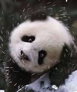 别人说和你学什么专业幽默回答,跟别人解释你学什么专业