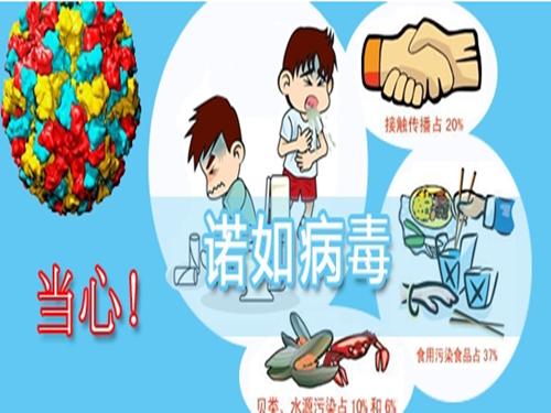 诺如病毒疫苗多少钱,诺如病毒应对措施