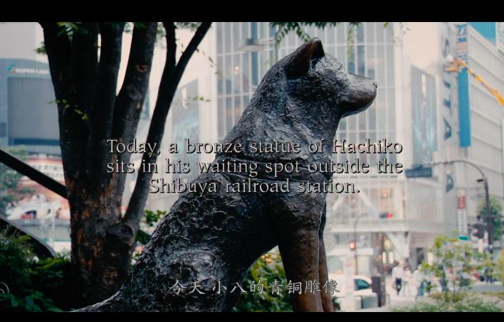 让你泪奔的5部重磅催泪电影,一生一定要看的催泪电影