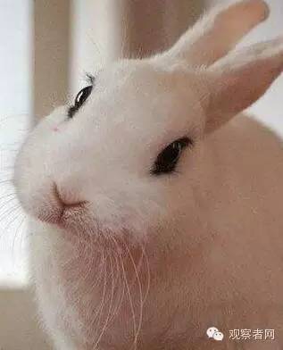 别人说和你学什么专业幽默回答,跟别人解释你学什么专业