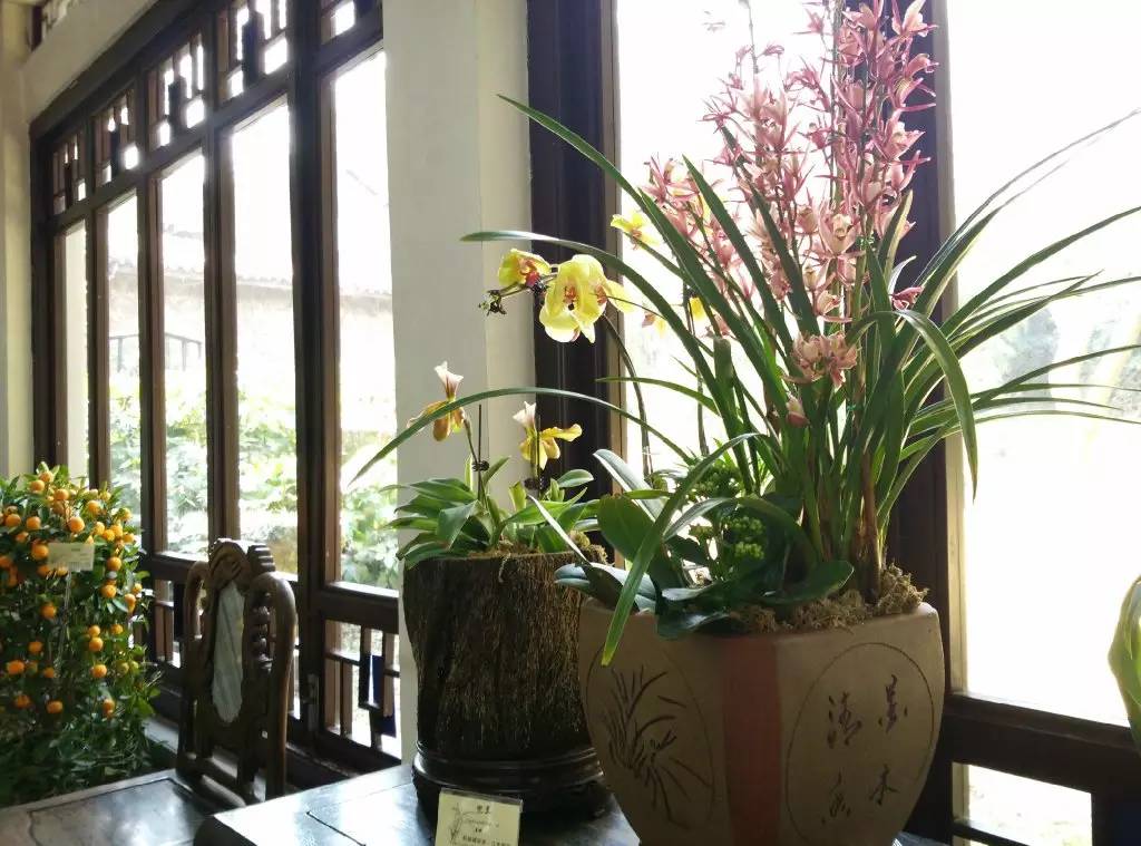 无锡春节文化,来看看我们无锡多美