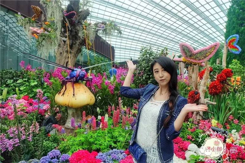 春节旅游去新加坡,新加坡旅游团春节