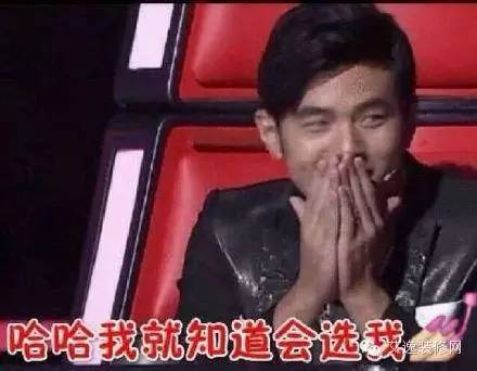 2015年中国十大网络热词,十大网络热词2015