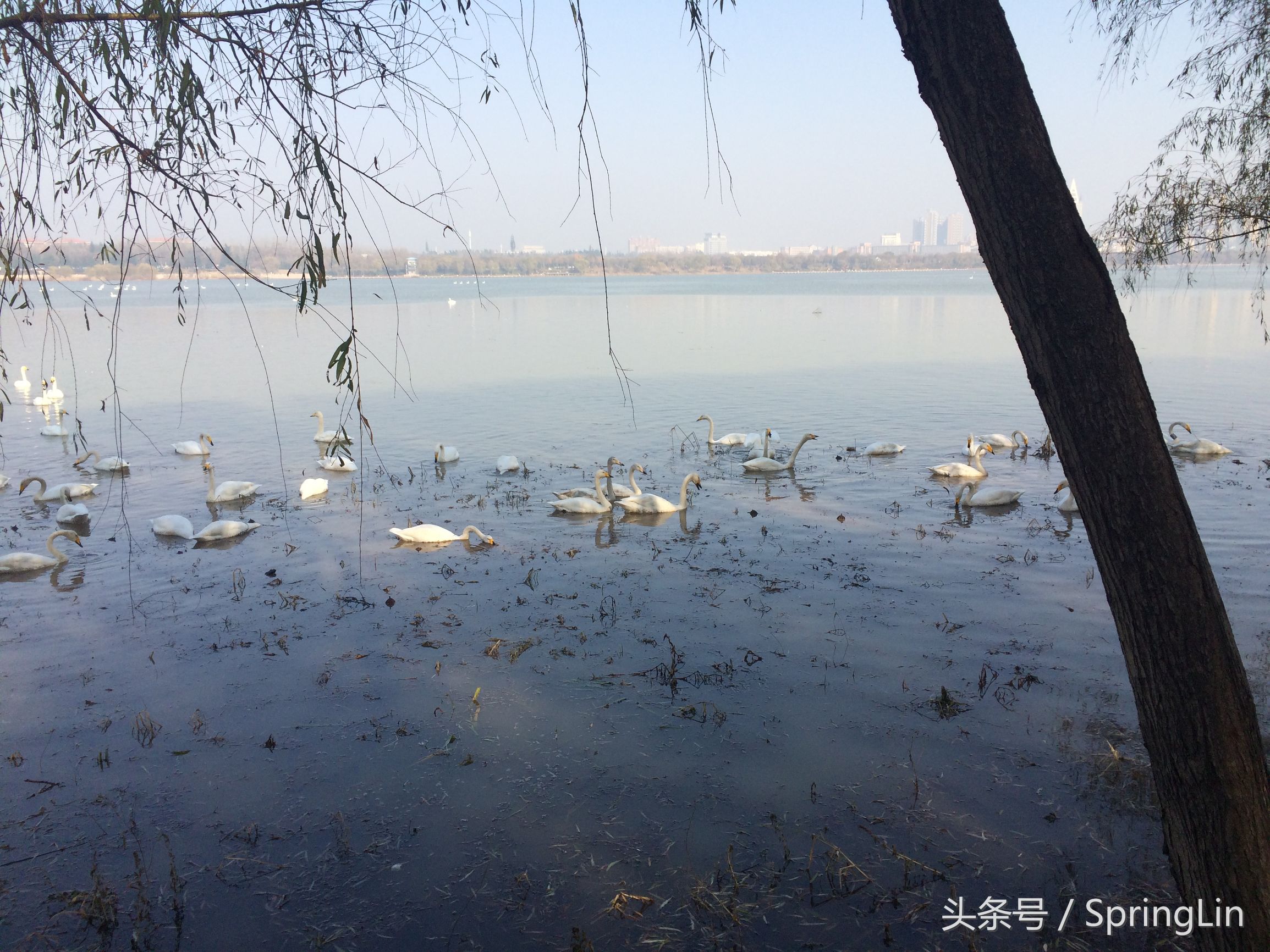 三门峡豫西大峡谷旅游攻略,豫西三门峡全景图