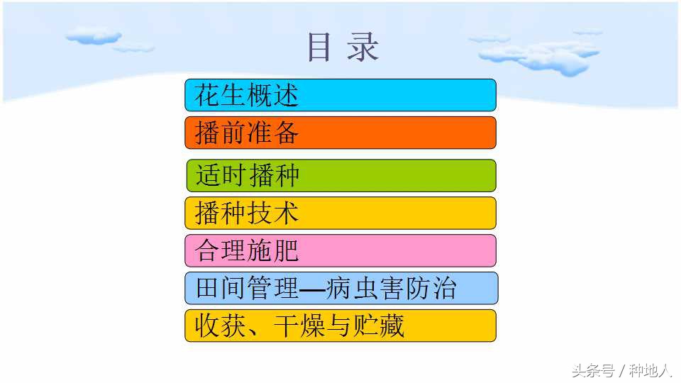 已经开始种花生了怎么种,马上要种花生了