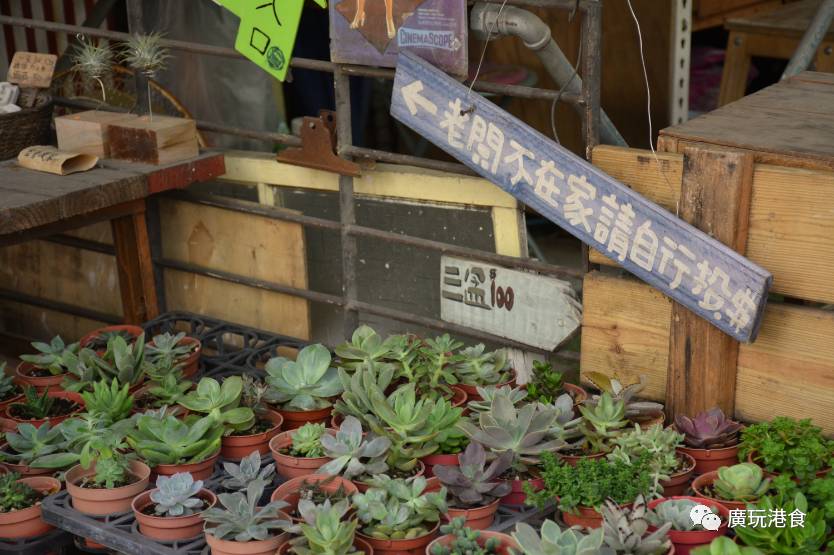 找回“过日子”的感觉,就在台南!