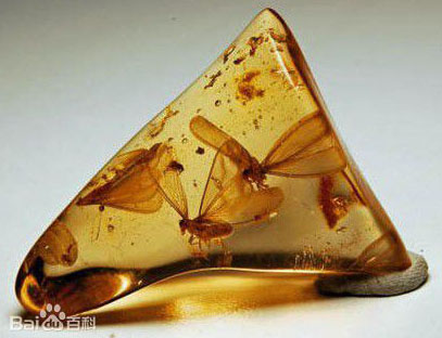 文玩琥珀怎么鉴定真伪,久龙说文玩