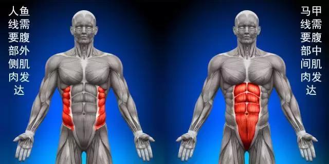 最好的vs最差的训练腹肌方法,腹肌鲨鱼线怎么训练