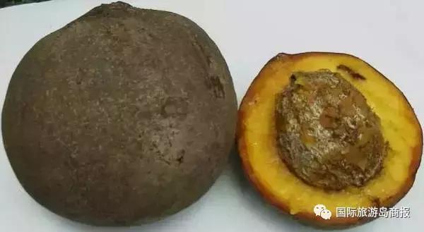 海南你没见过的水果,海南你没有见过的水果