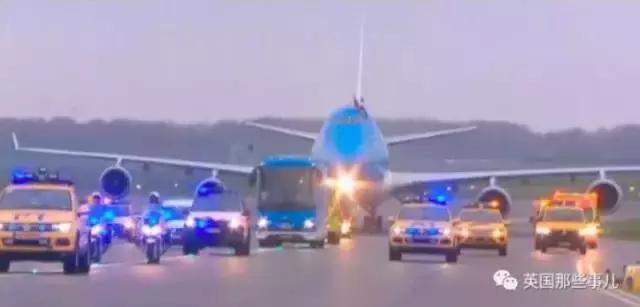 荷兰迎接中国大熊猫,大熊猫在国外有警车开道