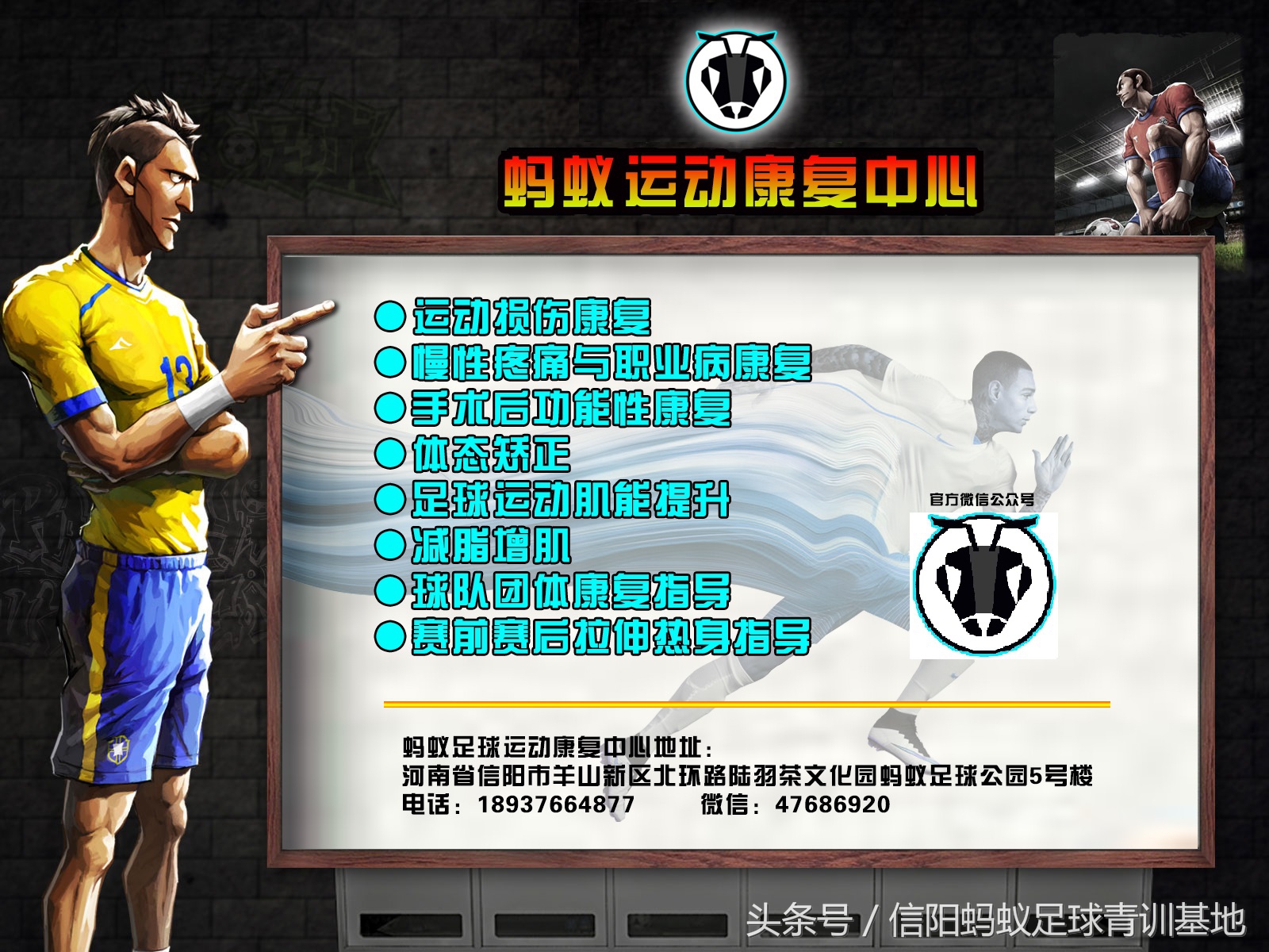 信阳蚂蚁足球排位赛,蚂蚁足球青训课堂