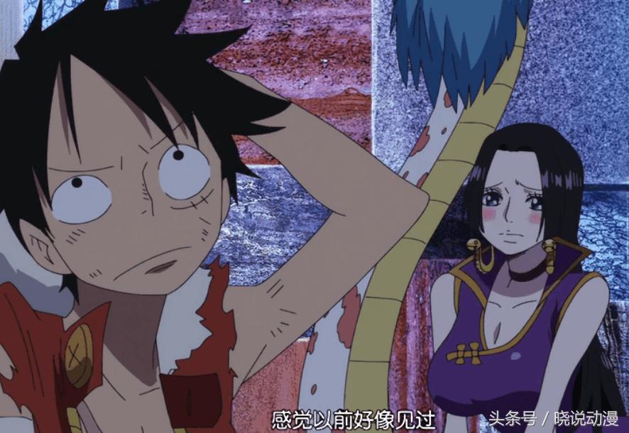 海贼王女帝如果被捉会怎样,海贼王路飞佩罗娜